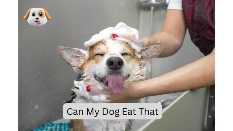 Can My Dog Eat That