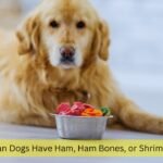 Can Dogs Have Ham, Ham Bones, or Shrimp