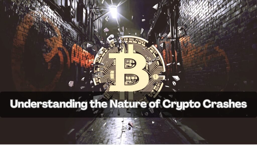 How to Navigate Crypto Crashes: Strategies During Real-Time Market Panics